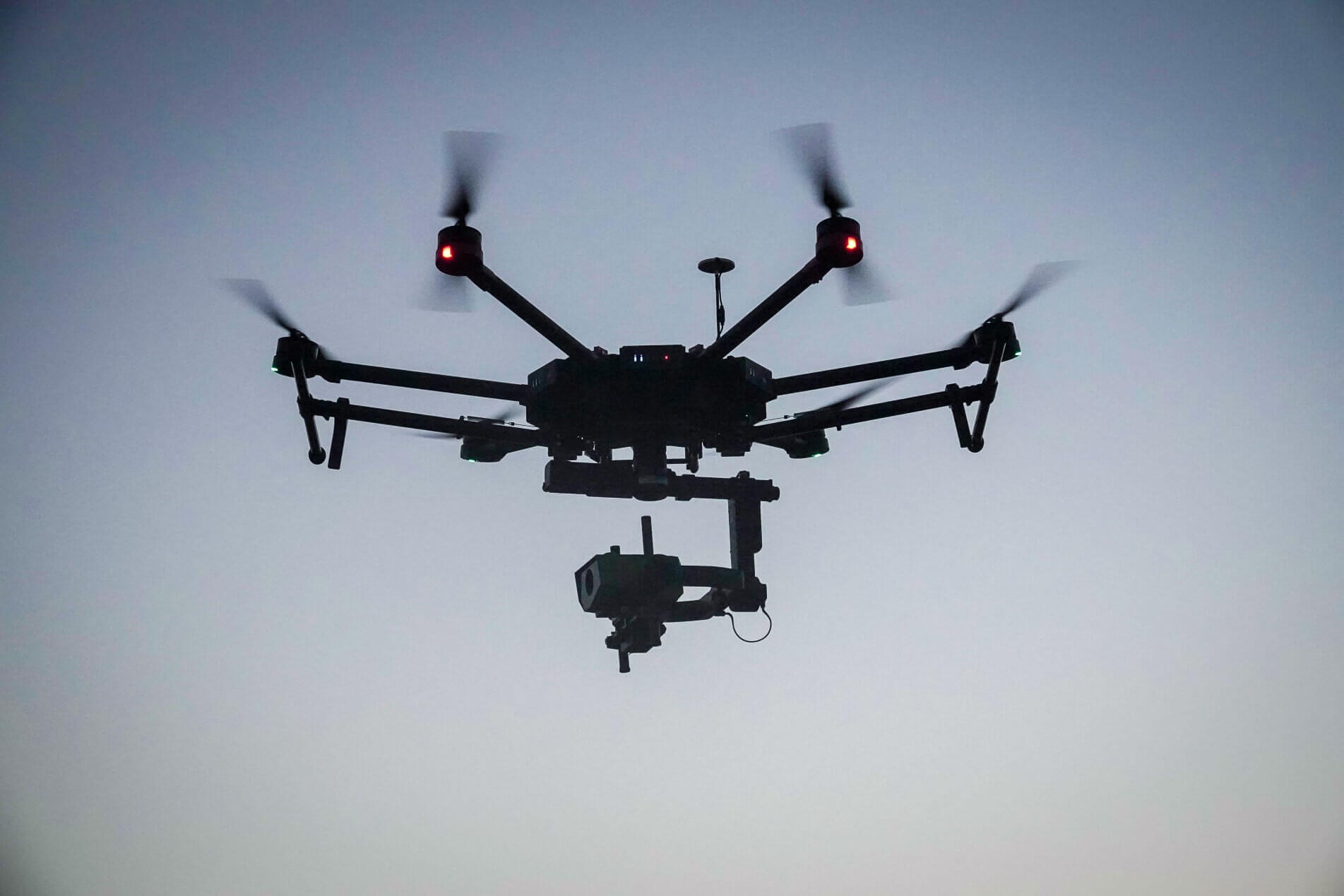 Explore the Sparrow - SCD Explore the Sparrow - SCD